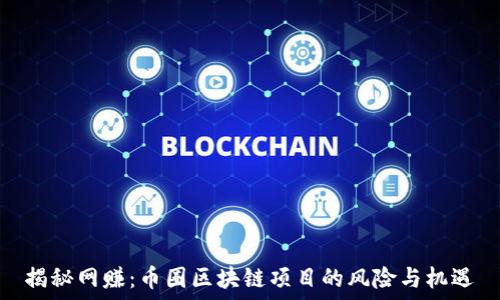  
揭秘網(wǎng)賺：幣圈區(qū)塊鏈項目的風險與機遇